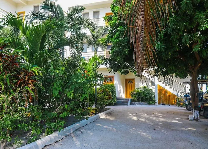 Oceanfront With Amazing Water Views Partial Ac Wifi & Pool Сasa de vacaciones San Pedro (Ambergris Caye)